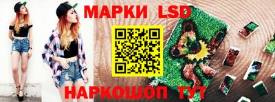 кокс Можга