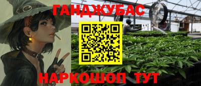 кокс Можга