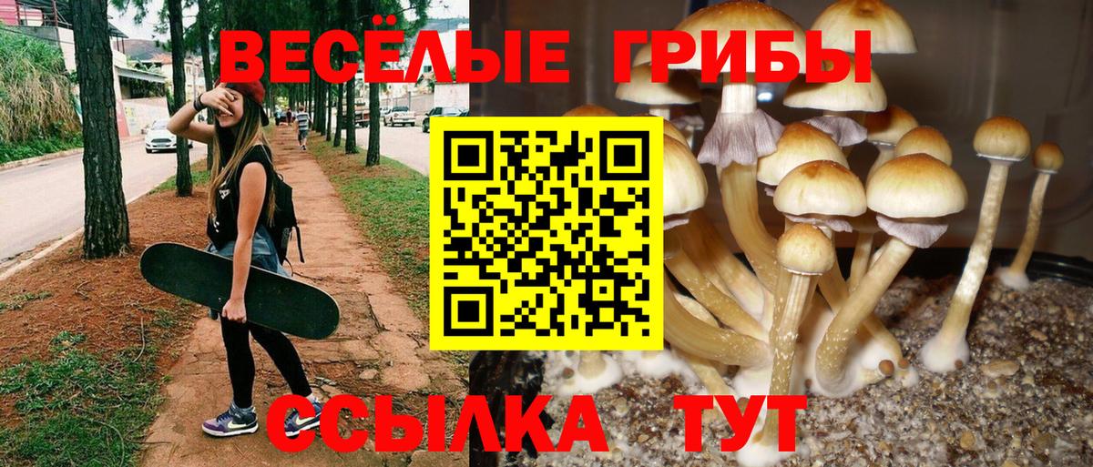 Галлюциногенные грибы Magic Shrooms Великий Устюг